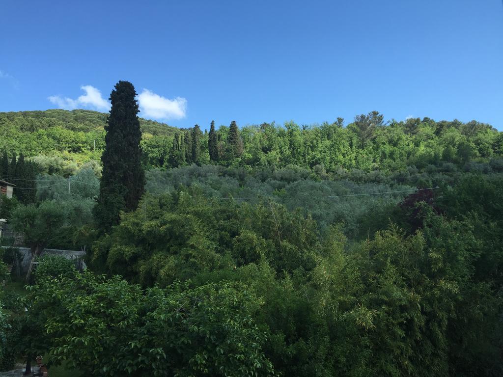 Villa Nobili B&B バーニョ・ア・リポリ エクステリア 写真