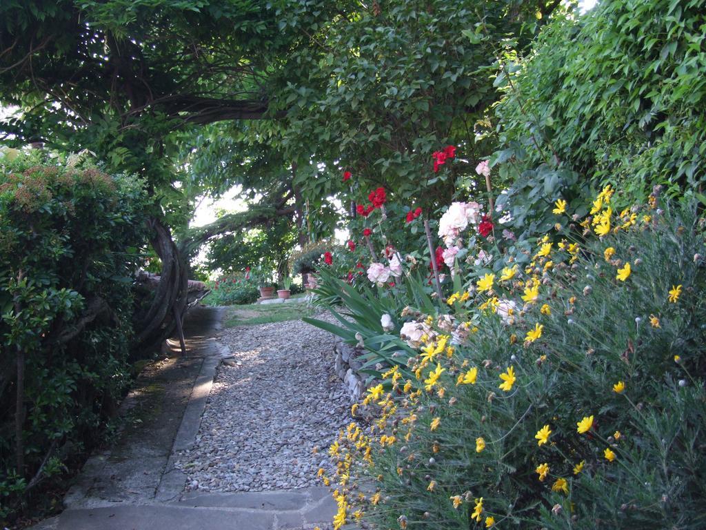 Villa Nobili B&B バーニョ・ア・リポリ エクステリア 写真